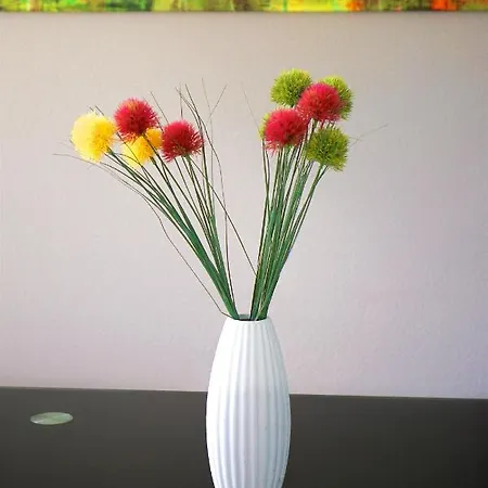 Panorama Traumblick * Bernkastel-Kues