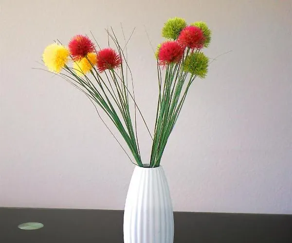 Panorama Traumblick * Bernkastel-Kues